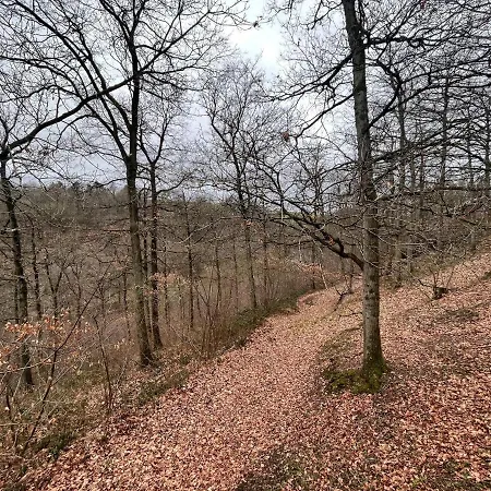 Charming By The Meuse