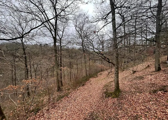 Charming By The Meuse